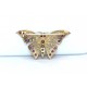 Butterfly brooch  with seed pearls and garnets