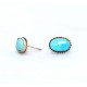 Turquoise stud earrings